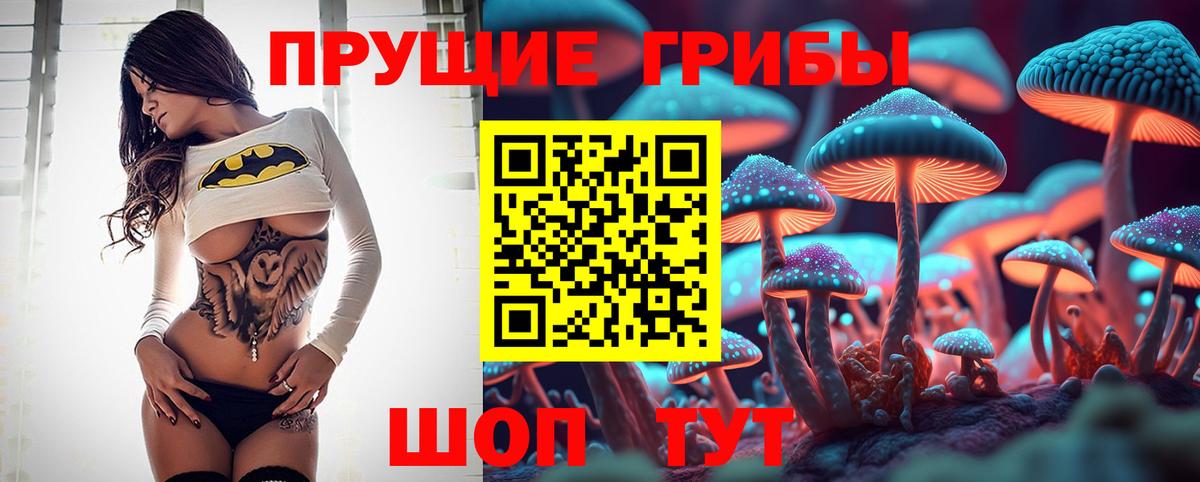 Сарапул  Галлюциногенные грибы Psilocybe  Вход с VPN 